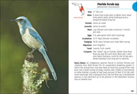 Birds of Florida Field Guide  (3rd Edition, Revised)