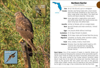 Birds of Florida Field Guide  (3rd Edition, Revised)