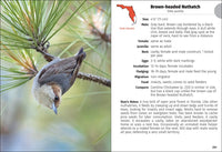 Birds of Florida Field Guide  (3rd Edition, Revised)