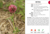 Wildflowers of Wisconsin Field Guide