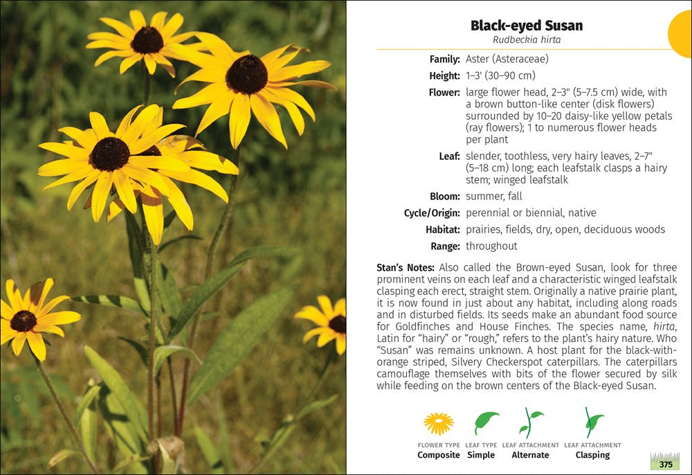 Wildflowers of Wisconsin Field Guide