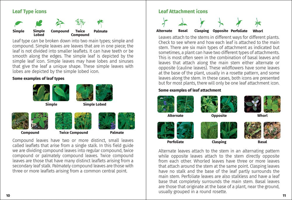 Wildflowers of the Carolinas Field Guide