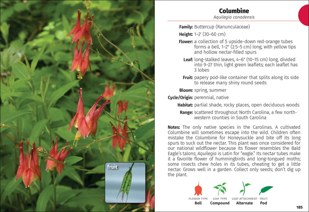 Wildflowers of the Carolinas Field Guide