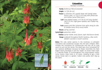 Wildflowers of the Carolinas Field Guide