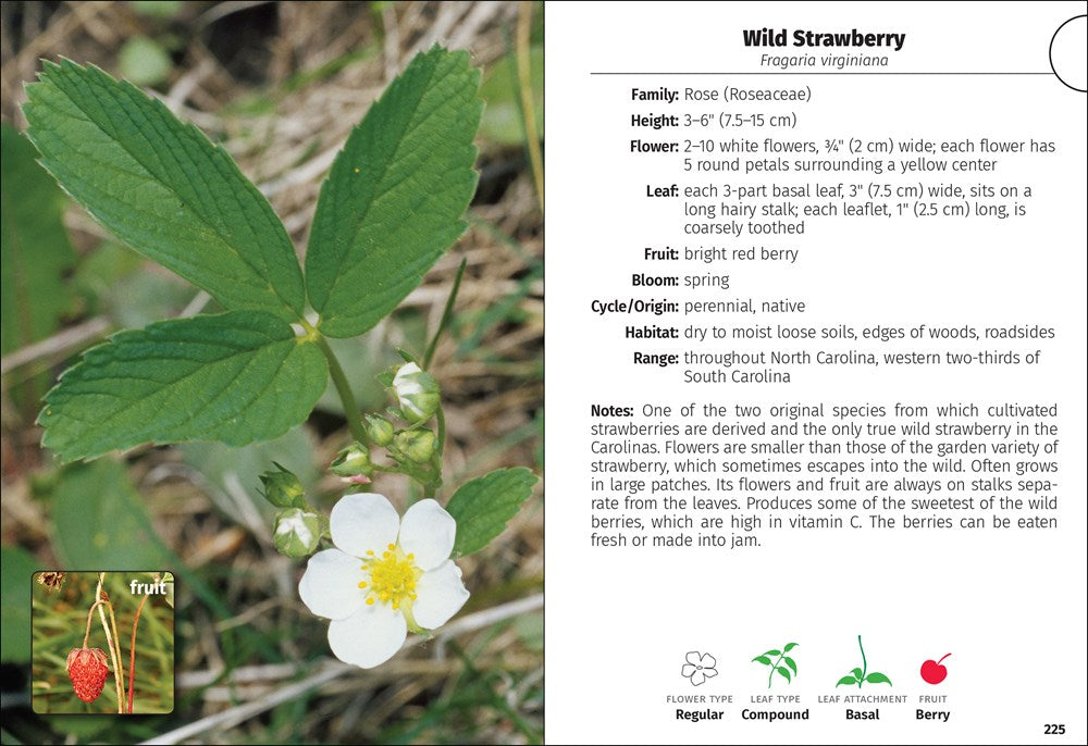Wildflowers of the Carolinas Field Guide