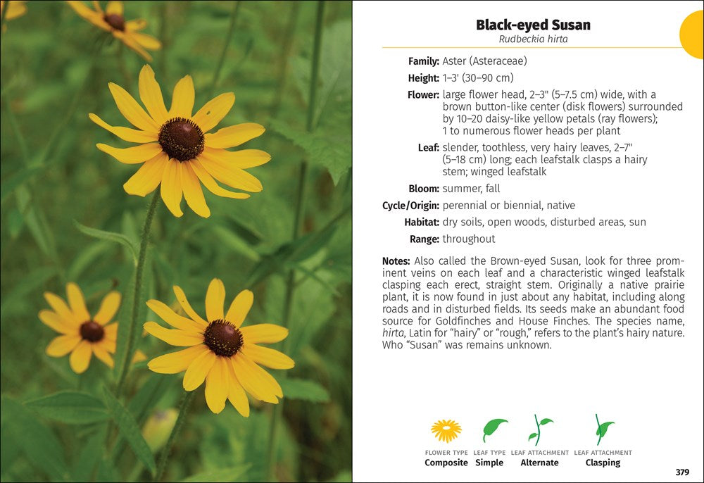 Wildflowers of the Carolinas Field Guide