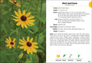 Wildflowers of the Carolinas Field Guide
