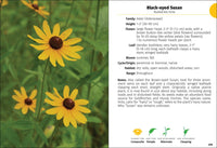 Wildflowers of the Carolinas Field Guide