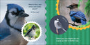 Nature Baby: Birds