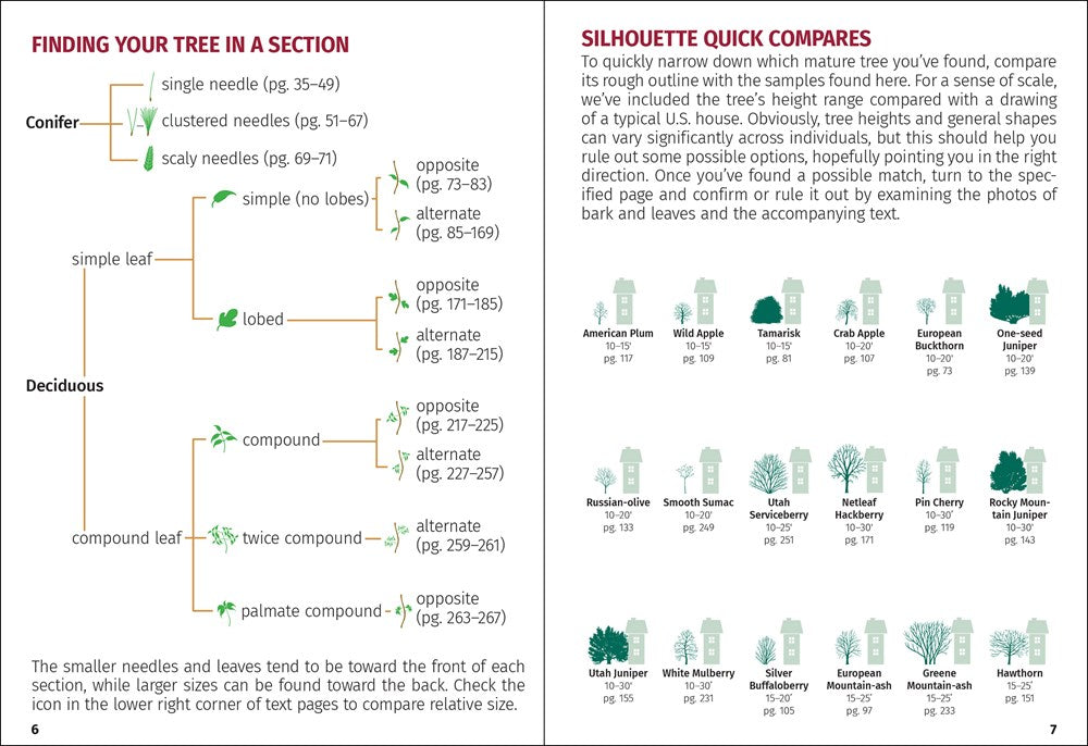 Trees of Colorado Field Guide