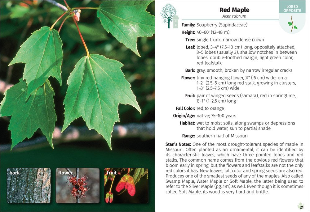 Trees of Missouri Field Guide