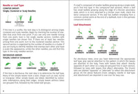 Trees of Missouri Field Guide