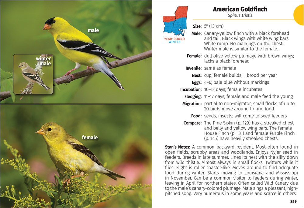 Birds of Louisiana & Mississippi Field Guide