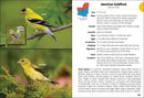 Birds of Louisiana & Mississippi Field Guide