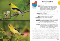 Birds of Louisiana & Mississippi Field Guide