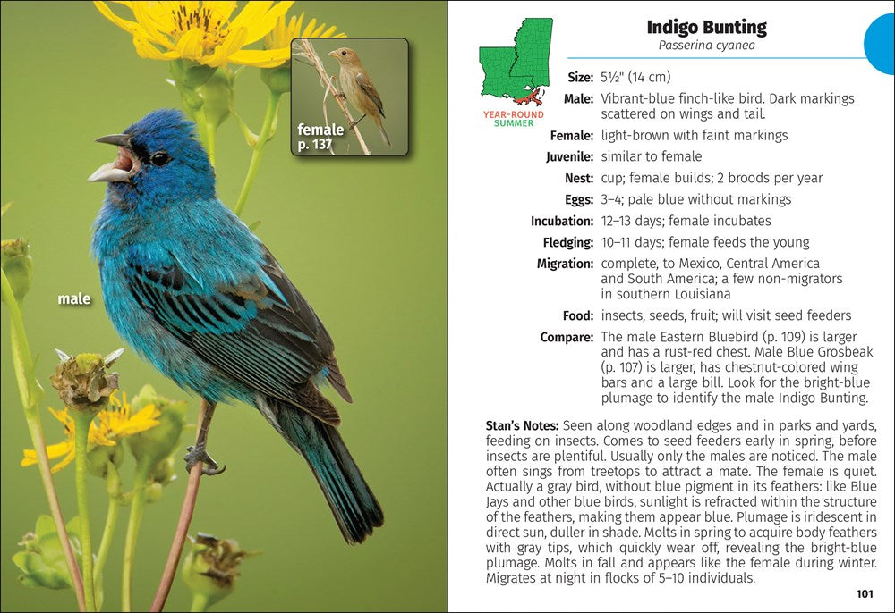 Birds of Louisiana & Mississippi Field Guide
