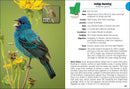 Birds of Louisiana & Mississippi Field Guide