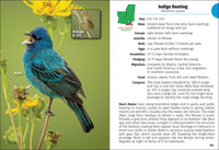 Birds of Louisiana & Mississippi Field Guide
