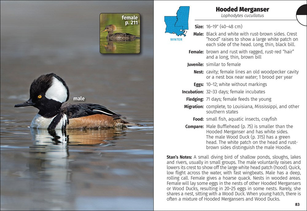 Birds of Louisiana & Mississippi Field Guide