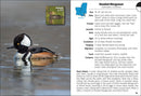 Birds of Louisiana & Mississippi Field Guide