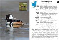 Birds of Louisiana & Mississippi Field Guide