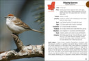Birds of Louisiana & Mississippi Field Guide