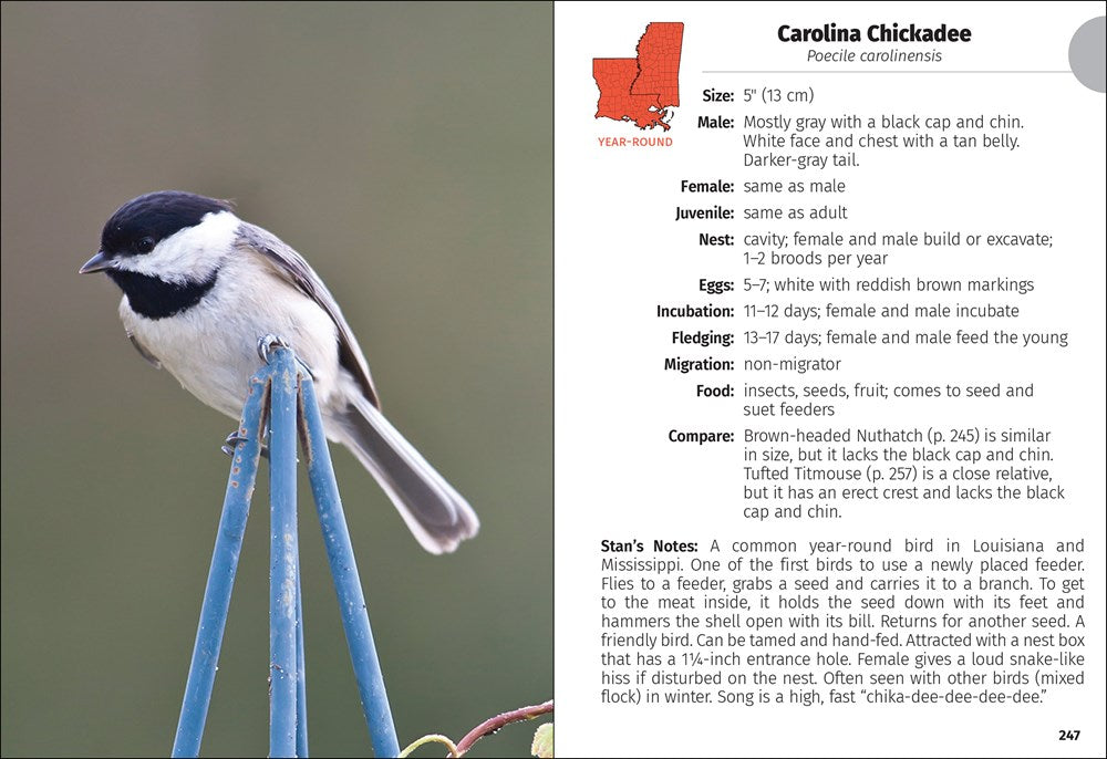 Birds of Louisiana & Mississippi Field Guide