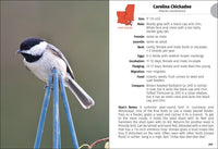 Birds of Louisiana & Mississippi Field Guide