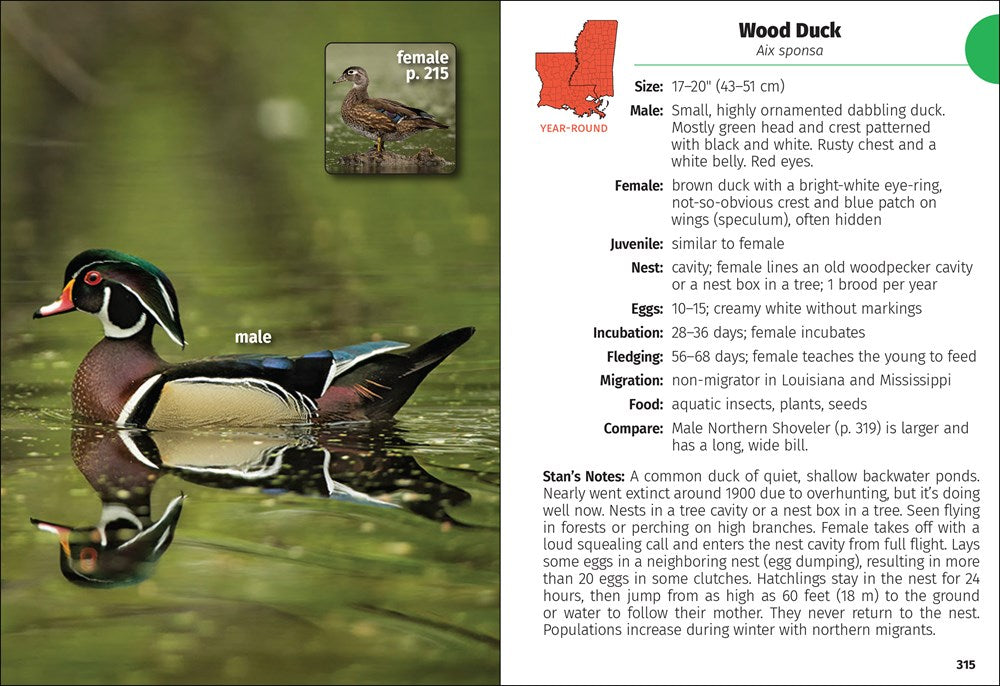 Birds of Louisiana & Mississippi Field Guide