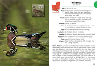 Birds of Louisiana & Mississippi Field Guide