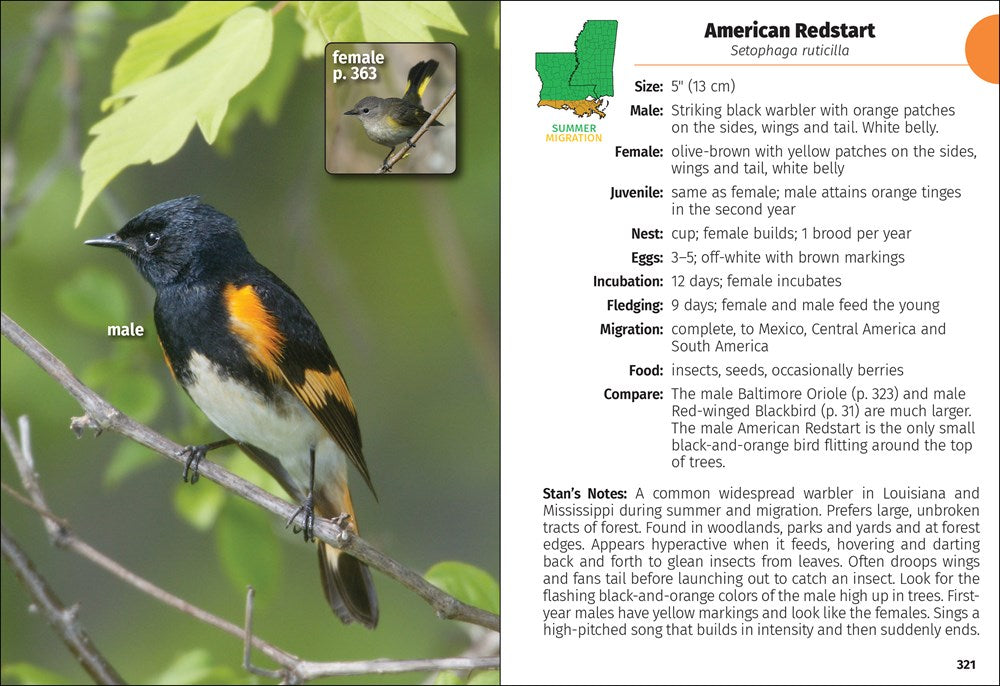 Birds of Louisiana & Mississippi Field Guide