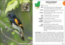 Birds of Louisiana & Mississippi Field Guide