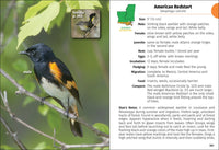 Birds of Louisiana & Mississippi Field Guide