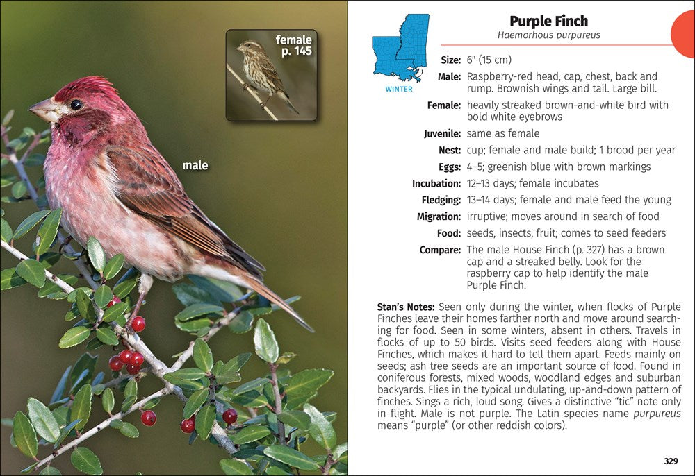 Birds of Louisiana & Mississippi Field Guide