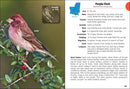 Birds of Louisiana & Mississippi Field Guide