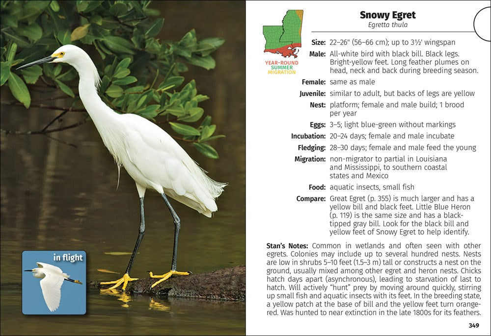 Birds of Louisiana & Mississippi Field Guide