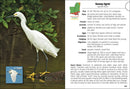 Birds of Louisiana & Mississippi Field Guide