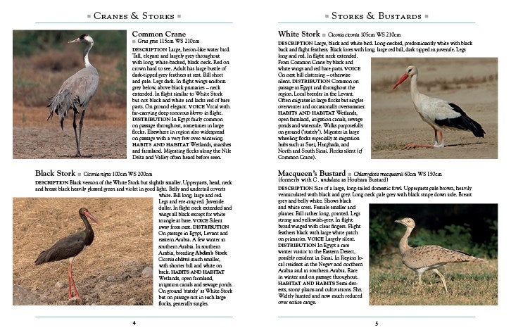 The Birds of Egypt and the Middle East