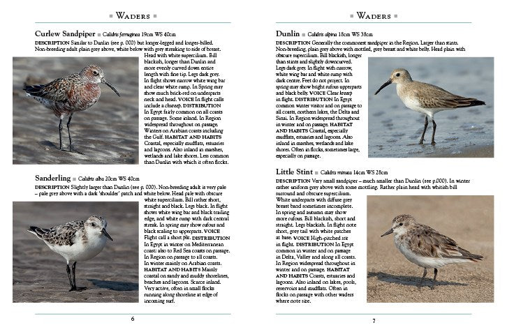 The Birds of Egypt and the Middle East