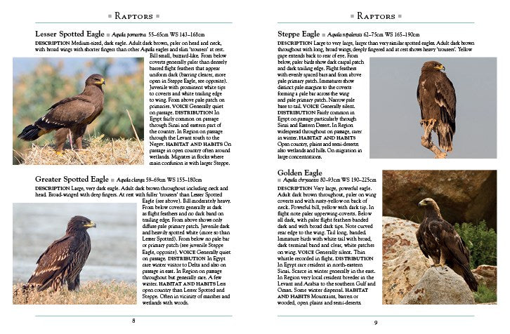 The Birds of Egypt and the Middle East