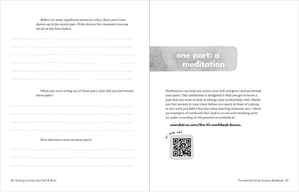 The Internal Family Systems Workbook