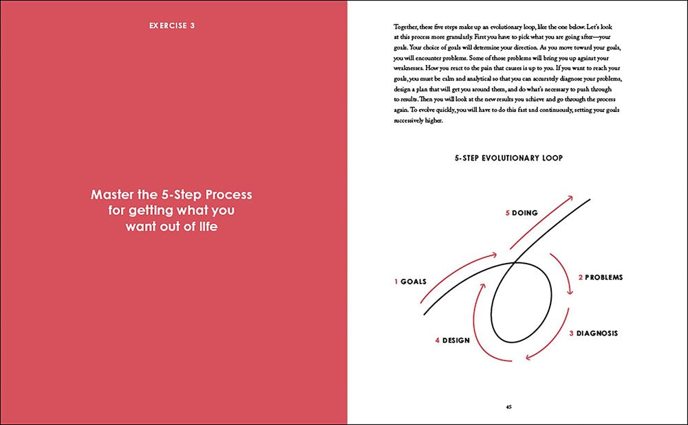 Principles: Your Guided Journal (Create Your Own Principles to Get the Work and Life You Want)