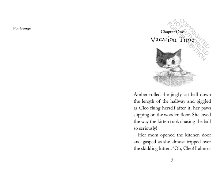 The Curious Kitten
