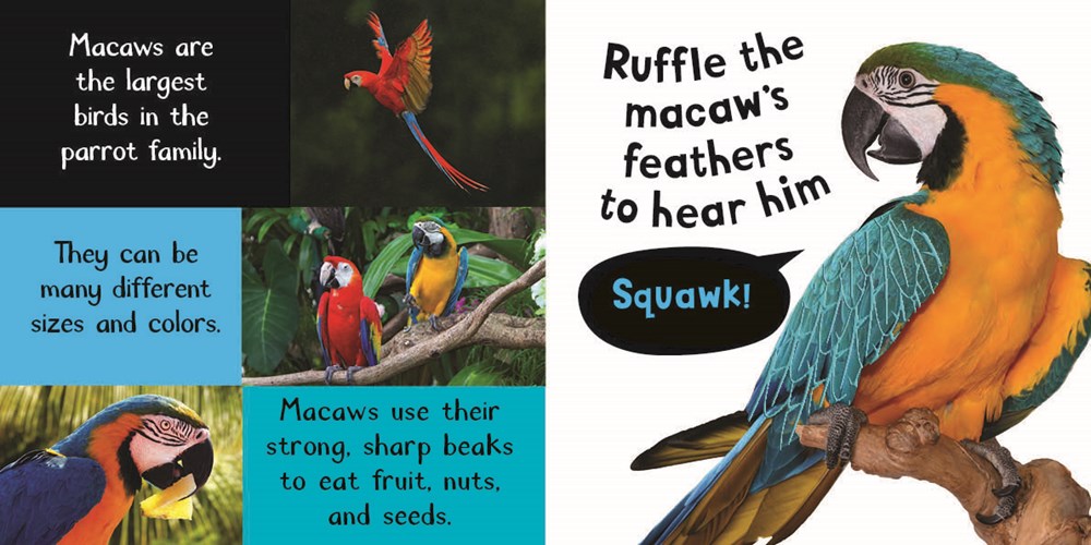 Noisy Animals: My First Touch and Feel Sound Book