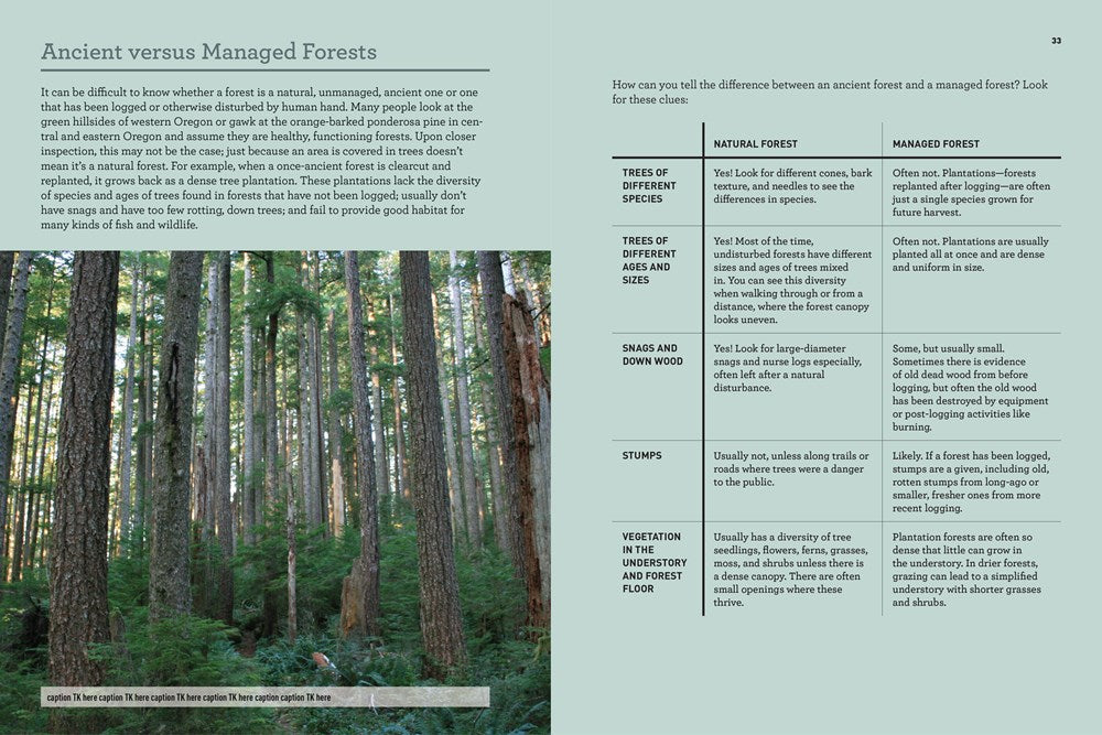 Oregon's Ancient Forests