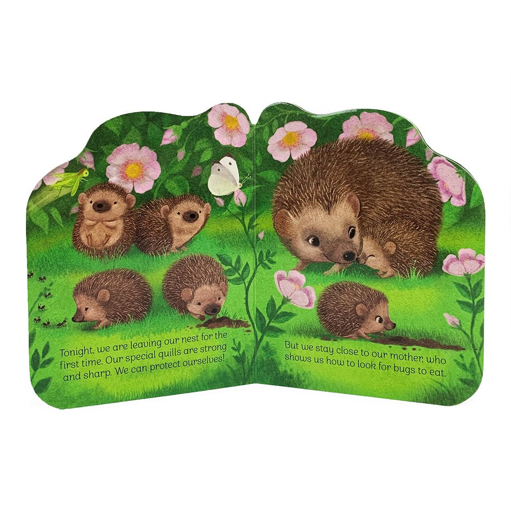 A Little Hedgehog