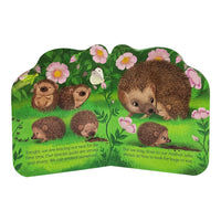 A Little Hedgehog