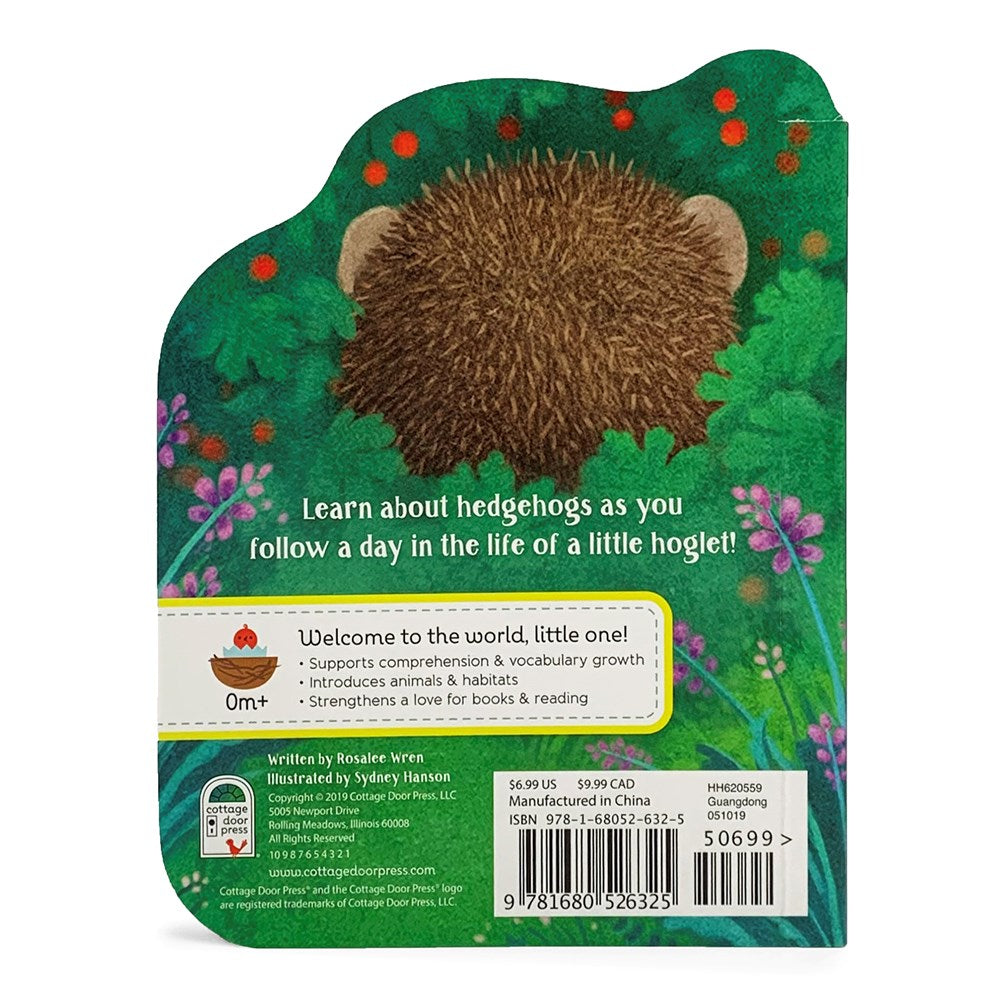 A Little Hedgehog