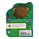 A Little Hedgehog