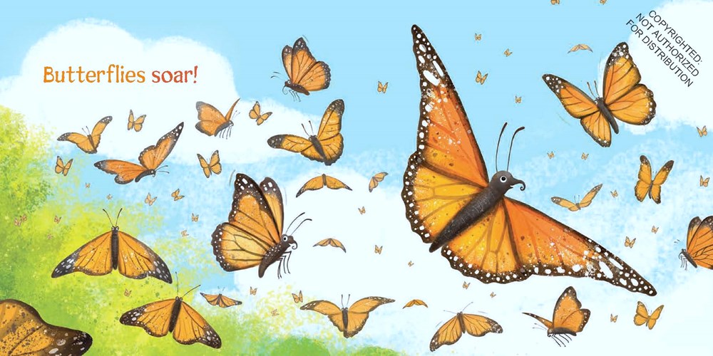 Butterflies Soar